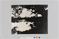 藏品(榕湖夕照（廣西）)的圖片